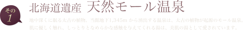 大自然からの贈り物 天然モール泉